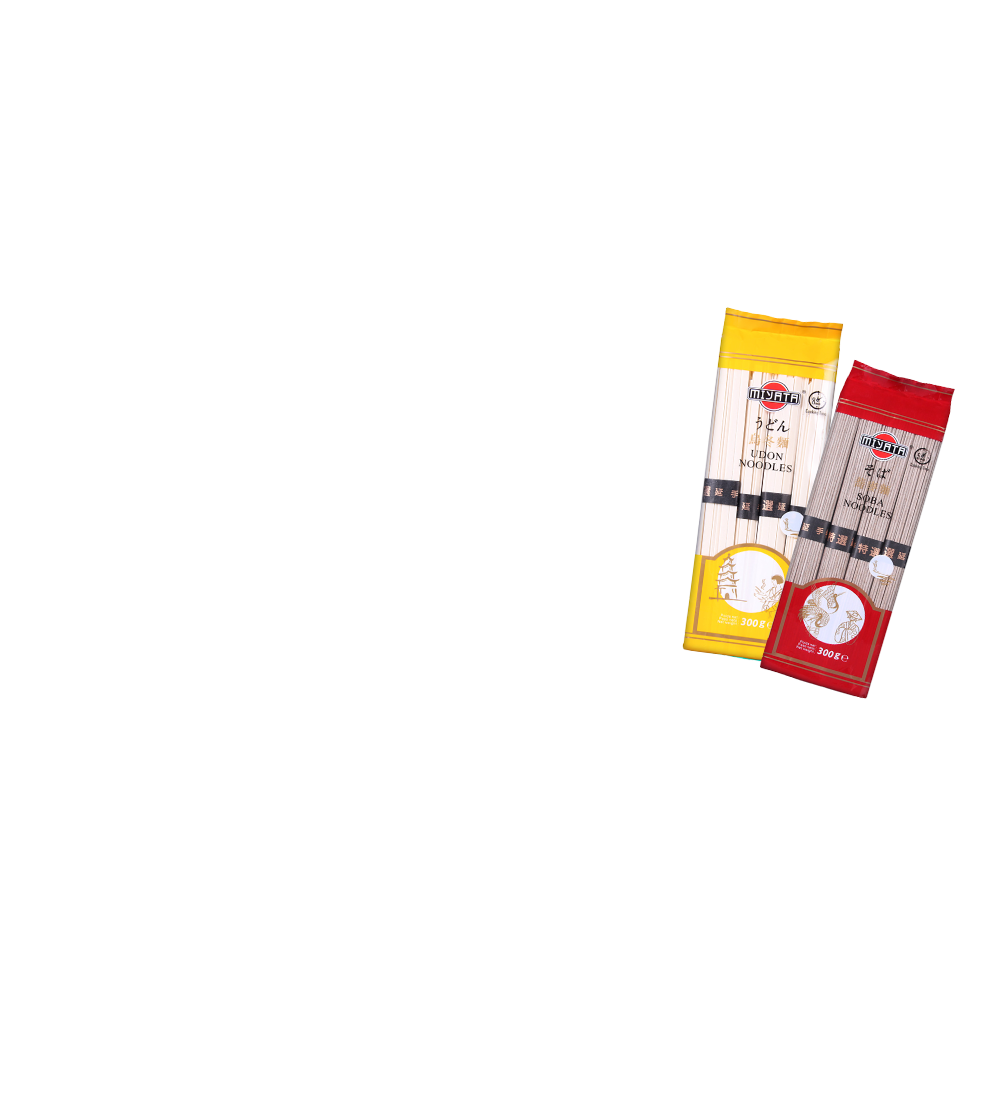 Massa alimenticia Udon, Miyata, Noodles Japoneses, Qualidade Premium, Sabores da Asia
